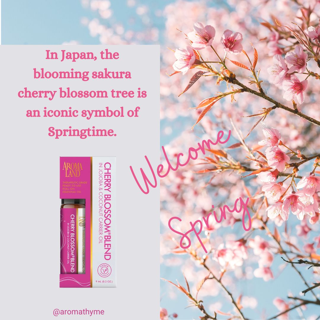 pink and white roll on blend with cherry blossom  flower background